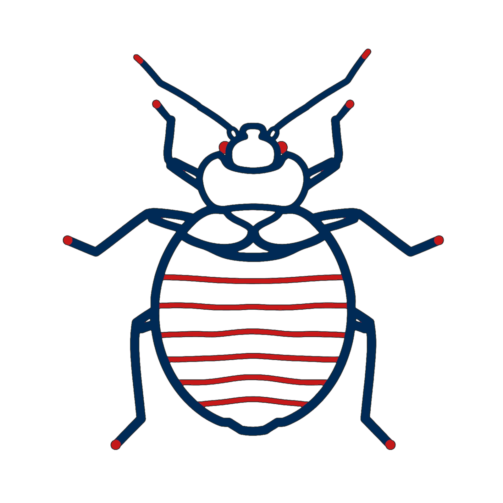 Bedbugs Control