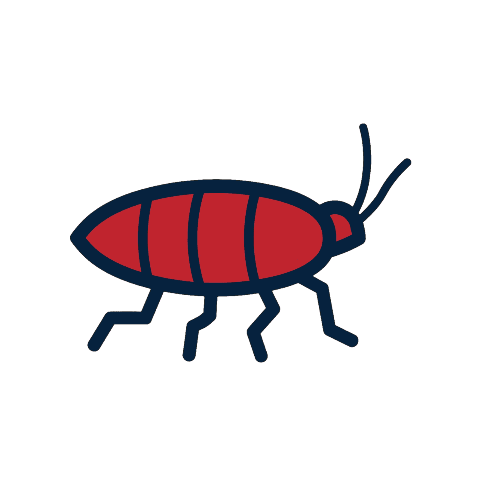 Cockroach Control