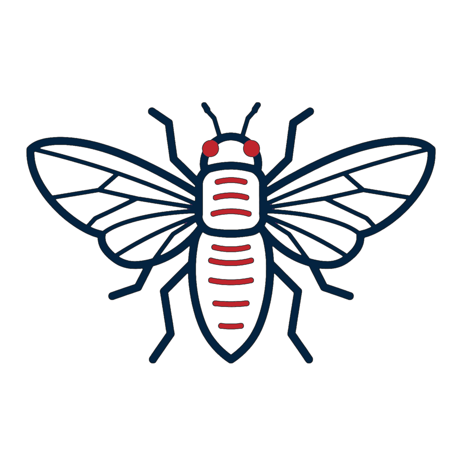 Flies Control