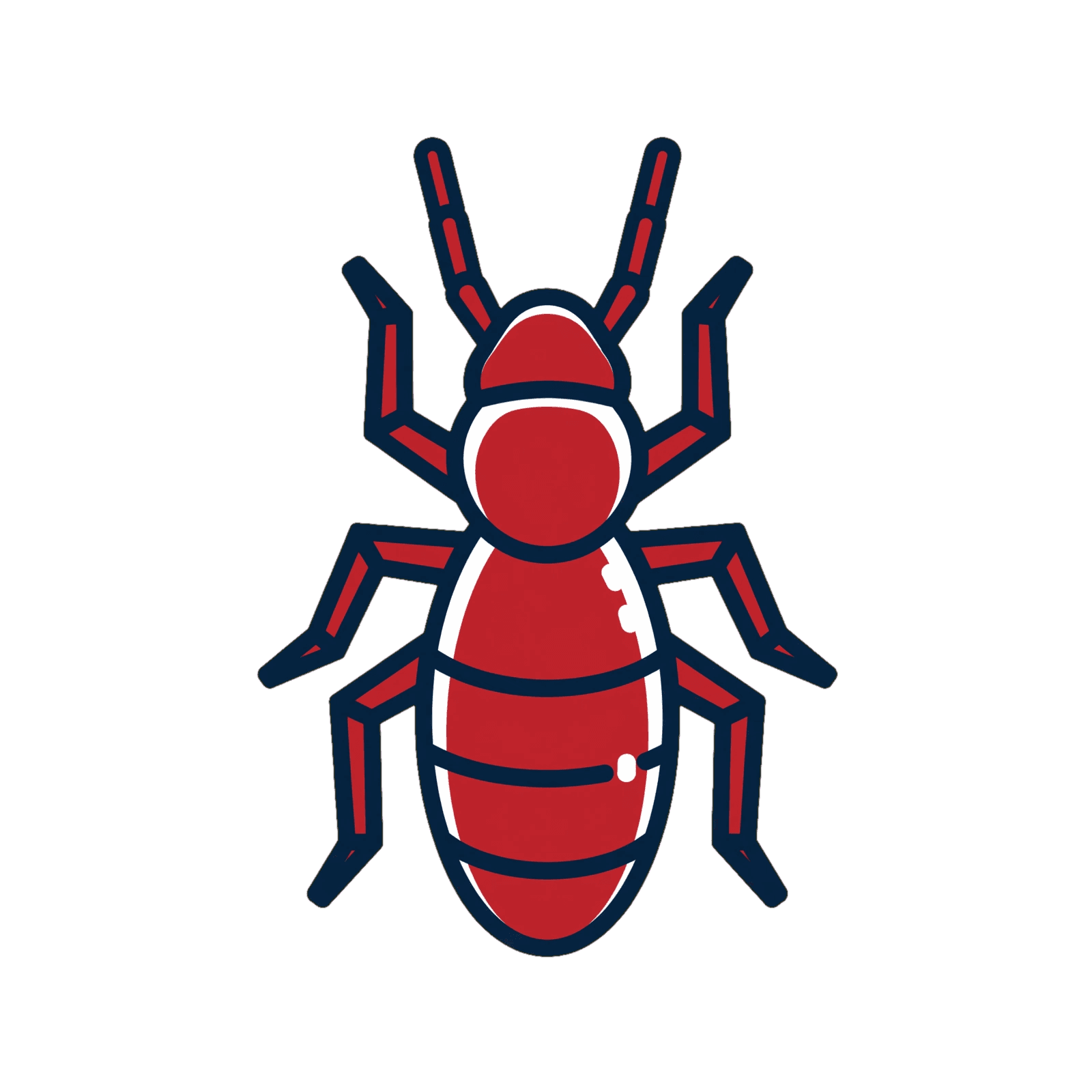 Termite Control